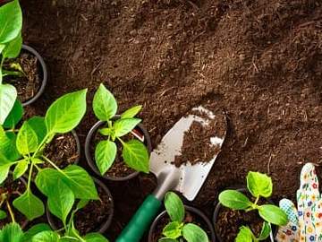 spade in garden soil